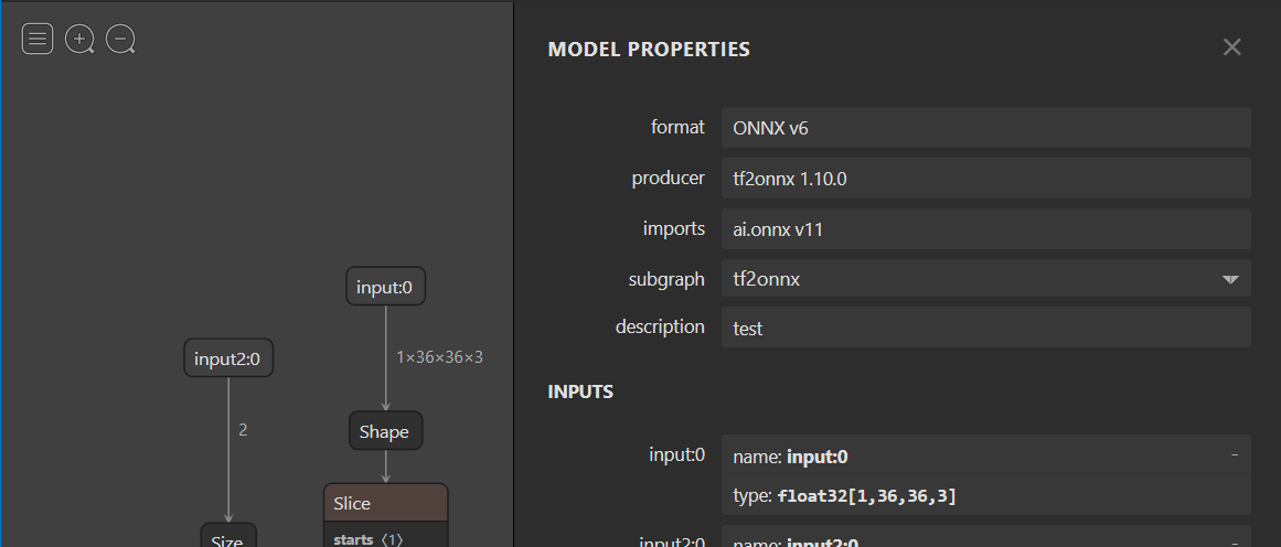 Model with symbolic dimension in input shape replaced with fixed value